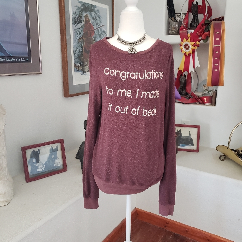 Wildfox congratulations to me sweatshirt xs